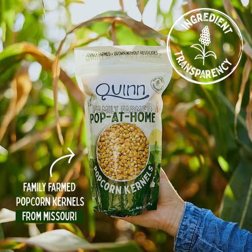 Quinn Family Farmed Gourmet Popcorn Kernels 28 oz (3 count) NonGMO Verified, Pesticide Free
