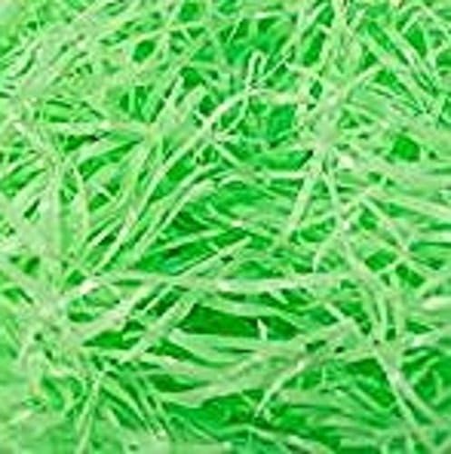 Biodegradable Easter Grass Filler - Green Edition