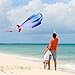 HENGDA KITE 3D Kite Huge Frameless Soft Parafoil Giant Blue Dolphin Breeze Kite