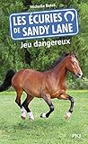 Les écuries de Sandy Lane, Tome 6 : Jeu dangereux by 