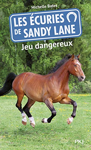 Les écuries de Sandy Lane, Tome 6 : Jeu dangereux by Michelle Bates