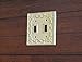Double Light Switch Plate/ Cast Iron Switch Plate Cover/ Warm Yellow or Pick Your Color/ Switch Cover/ Fleur de Lis Style