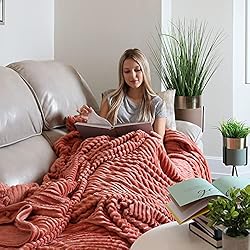 Clara Clark Cut Plush Blanket - Queen Size