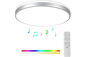 HOREVO Brushed Nickel Ceiling Light with Remote Control with Bluetooth Speaker, 24W Diammble Color Changing, LED Flush Mount Silver Light Fixture for Bedroom, Living Room, Bathroon, Kitchen