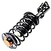 TUPARTS Front Pair Complete Strut Spring Assembly fit for Chevrolet Equinox,Pontiac Torrent,Saturn Vue Rear Pair Shock