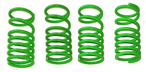 E-Revo or Revo 3.3 Green Dual Rate Shock Springs Set