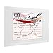 US Art Supply 12 X 16 inch Professional Artist Quality Acid Free Canvas Panel Boards for Painting 12-Pack (1 Full Case of 12 Single Canvas Board Panels)
