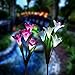 Solar Garden Lights Outdoor, 2 Pack Solar Powered Lights with 8 Lily Flower, Multi-Color Changing LED Solar Stake Lights for Garden, Patio, Backyard (Yellow/White) (Calla Lily（White.Purple）)