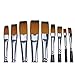 APG 9pcs Flat Pointed Tip Nylon Hair Acrylic Watercolor Brush Artists Paint Brush Set