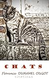 CHATS (Nos auteurs nous disent t. 1) (French Edition) by Florence Duhamel-Dugot
