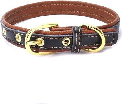 Amazon Co Jp アンジェリツコ 犬用首輪 小型犬 ダブルレザー ゴールドカラーリング シンプル なめらかなソフトレザー ペット用品 わんちゃん おしゃれ ドッグ 犬の首輪 ｘｘｓ ブラウン Pet Supplies