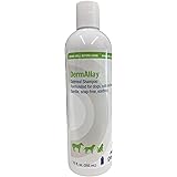 dermallay shampoo