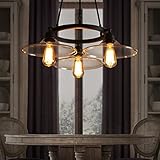 SEOL-LIGHT Vintage Chandeliers Max 180W With 3 Lights Metal and Glass Fixture for Kitchen,Living room,Dinning,Foyer,Balcony