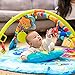 Baby Einstein Play Gym, Nautical Friends