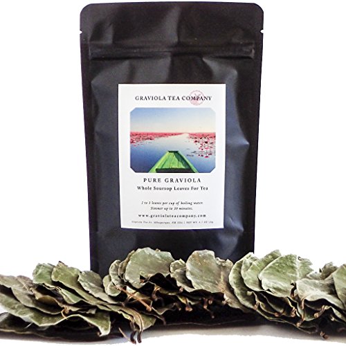 Pure graviola - whole soursop leaves for tea