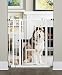 Carlson Extra Tall Walk Through Pet Gate with Small Pet Door, Includes 4-Inch Extension Kit, 4 Pack Pressure Mount Kit and 4 Pack Wall Mount Kit primary
