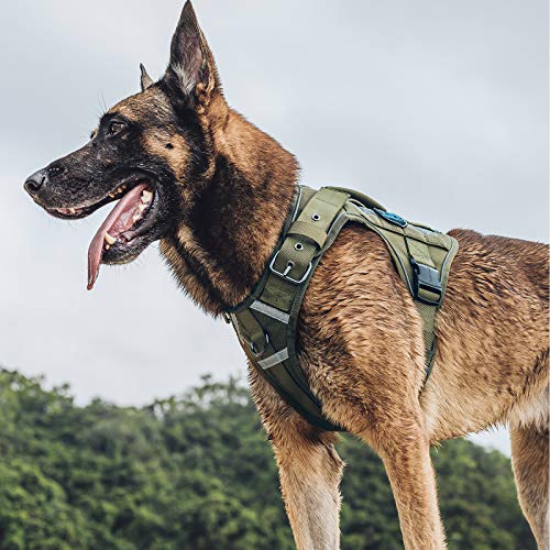mil spec dog harness
