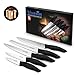 Knife Set,Kitchen Knife Set - Bluesim 5 Piece Matt Black Handle Knives Sets Including Carving Utility Chef and Paring Knives,Chef Knife Set with Gift Box Packaging