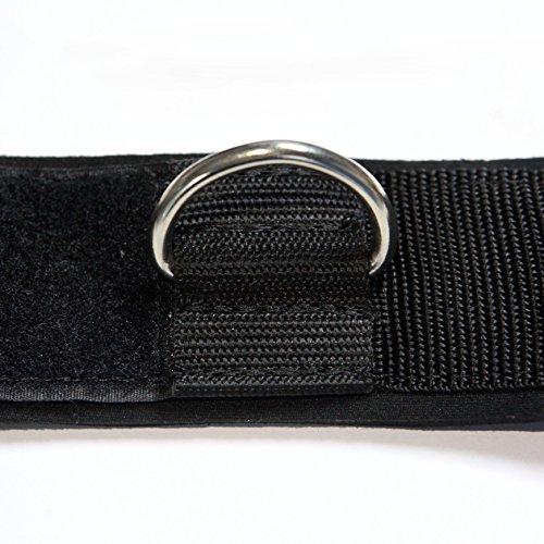 AbraFit Premium Ankle Straps for Cable Machines(Pack of 2),Neoprene Padded Ankle Straps with D-Ring(Free Carry Case Included)