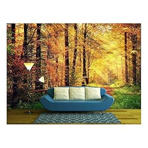 Autumn Forest Scenery with Rays of Warm Light Illumining The Gold Foliage - Removable Wall Mural | Self-Adhesive Large Wallpaper - 66x96 inches