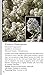 Rocky Mountain Wildflowers Field Guide