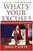 What's Your Excuse?: Making the Most of What You Have - Book by John Foppe