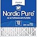 Nordic Pure 20x20x2 (19 1/2 x 19 1/2 x 1 3/4) Pleated MERV 12 Air Filters 3 Pack