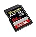 SanDisk Extreme PRO 64GB SDXC Flash Memory Card with up to 95MB/s (SDSDXPA-064G-AFFP)