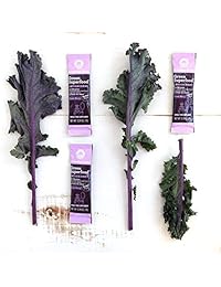 Amazing Grass Green Superfood - Polvo orgánico antioxidante con jarrón de trigo, arándano...