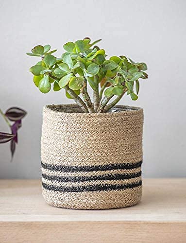 Printshoppie Handcrafted Woven Round Floral Pots Bag Natural Jute Plant Bag Pot Bags for All Plants Home Room Hall Decor Indoor Outdoor Plant Sack (Beige-Black_Cylindrical) (1, 8X8)