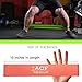 ACF 4 Exercise Bands - Resistance Loop Bands for Fitness and Stretching Workouts