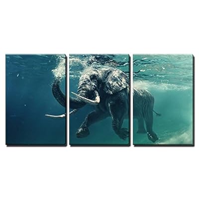 Underwater African Elephant - 3 Panel Canvas Art