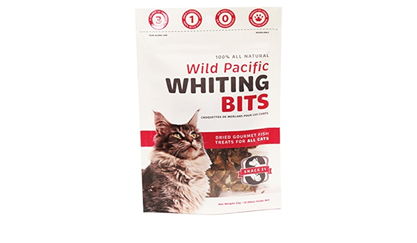 whitings pet supply