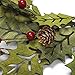VGIA 18 Inch Christmas Wreath Greenwood Winter Wreath with Berries and Pine Cones Christmas Decorations