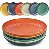 DYB DONGYONGBAO Wheat Straw Dinner Plates 9 Inch Set of 6, Reusable Plastic Plates,Microwave and Dishwasher Safe, Suitable fo