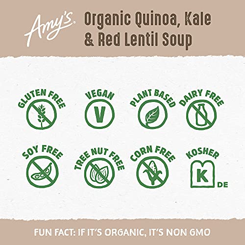 Amy's Soup, Vegan, Gluten Free, Organic Kale, Quinoa and Red Lentil, 14