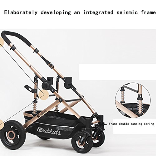 3 YBL+landscape+stroller+available+implementation