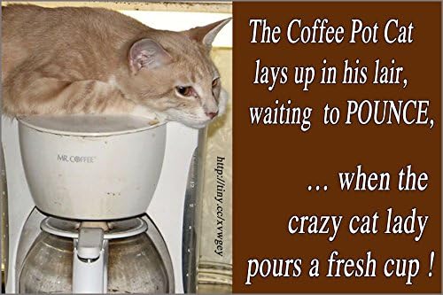 1 Small fridge refrigerator magnet, COFFEE CAT, funny photo flexible humorous meme decorative magnetic sign plaque print. Yellow Pet Cat Waits For A Fresh Cup