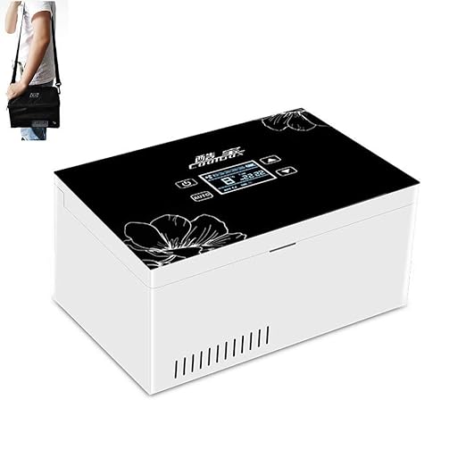 Refrigerador De Insulina Las 24 Horas, Mini Refrigerador PortáTil ...