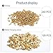 HAUSPROFI Sawtooth Picture Hangers, Sawtooth Picture Frame Hangers Double Hole 240 Wall Mounting Screws for Picture Painting Frame Cross-Stitch Golden Stainless Steel, 120Pcs