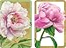 Entertaining with Caspari Double Deck of Bridge Playing Cards, Jumbo Type, Peonies