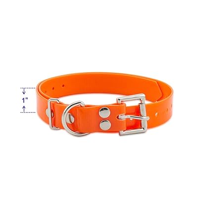 TPU Replacement Collar Strap for Dog Training Shock Botswana Ubuy
