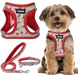 GAMUDA Small Pet Harness Collar and Leash Set, Step