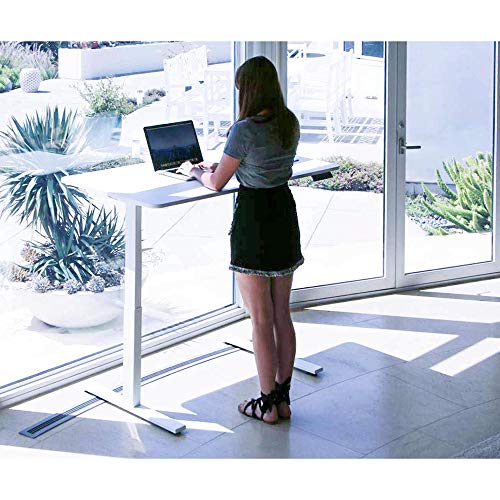 Autonomous Edition Hybrid Dual Motor Electric Standing Desk Frame for