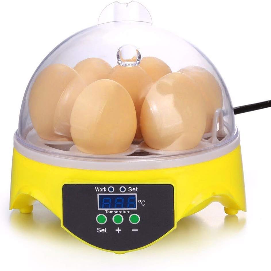 salaheiyodd Egg Incubator, 7 Egg Hatcher Incubator with Temperature Control, Digital Poultry General Purpose Incubators for Chickens Ducks Birds