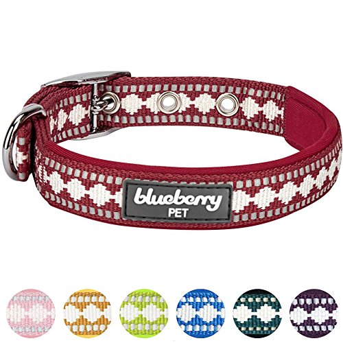 Blueberry Pet Sports Designed Collar Detailed Review Dog Products Guide
