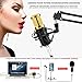 EARAMBLE Professional Studio Broadcasting Recording Condenser Microphone Recording Microphone with Shock Mount (Black)