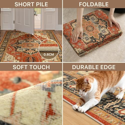 BEIMO Reversible Short Pile Living Room Rug, Vintage Non-Slip and Washable Rugs, Large Carpet for Living Room, Bedroom, Dining Room, Terracotta Red and Black, 80 x 150 cm