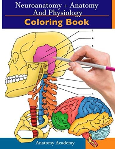 Clinical Neurology and Neuroanatomy: A Localization-Based Approach