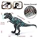 Hely Cancy 20 Pcs Realistic Dinosaur Action Figures with Movable Jaws, Educational Dinosaur Toys Playset for Kids